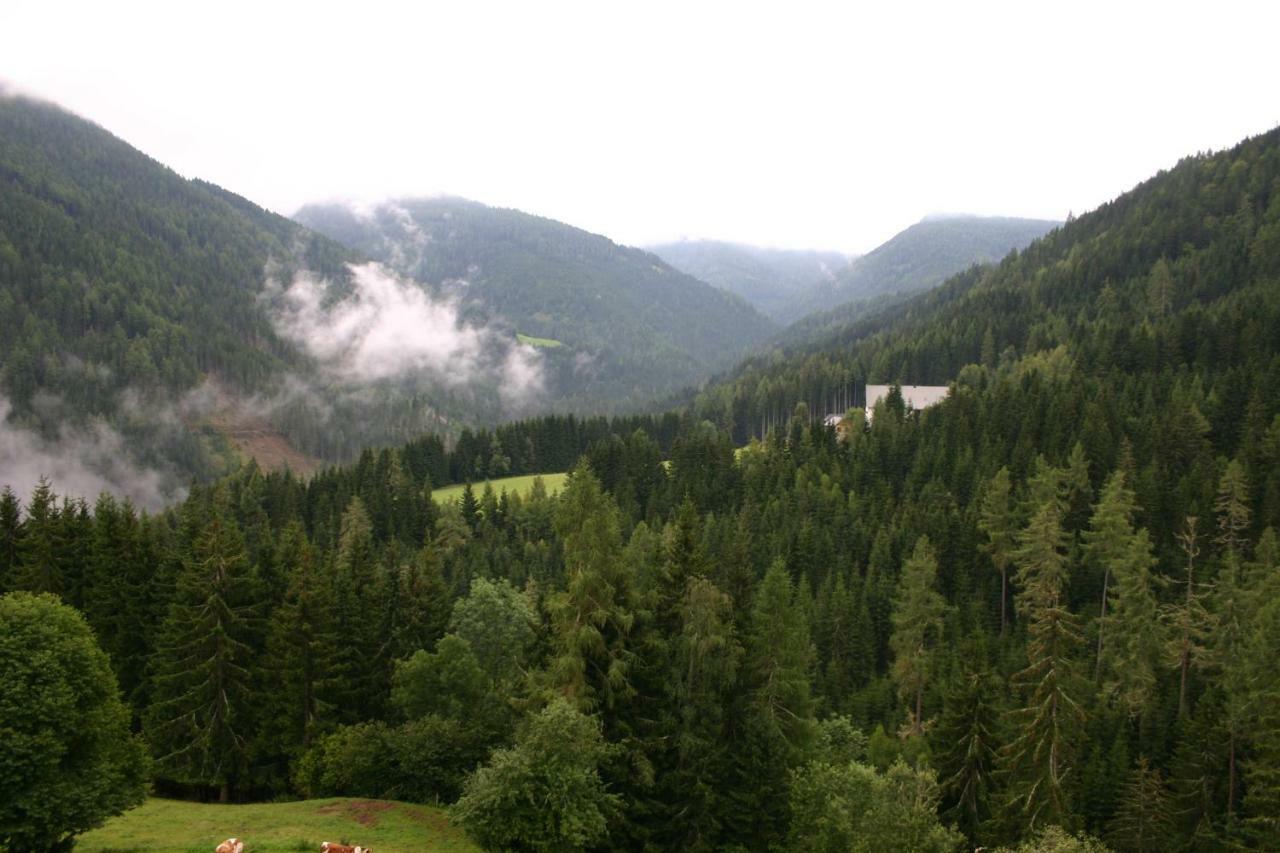Fewo Nr. 15 Haus Konradgut Sankt Lorenzen ob Murau Kültér fotó